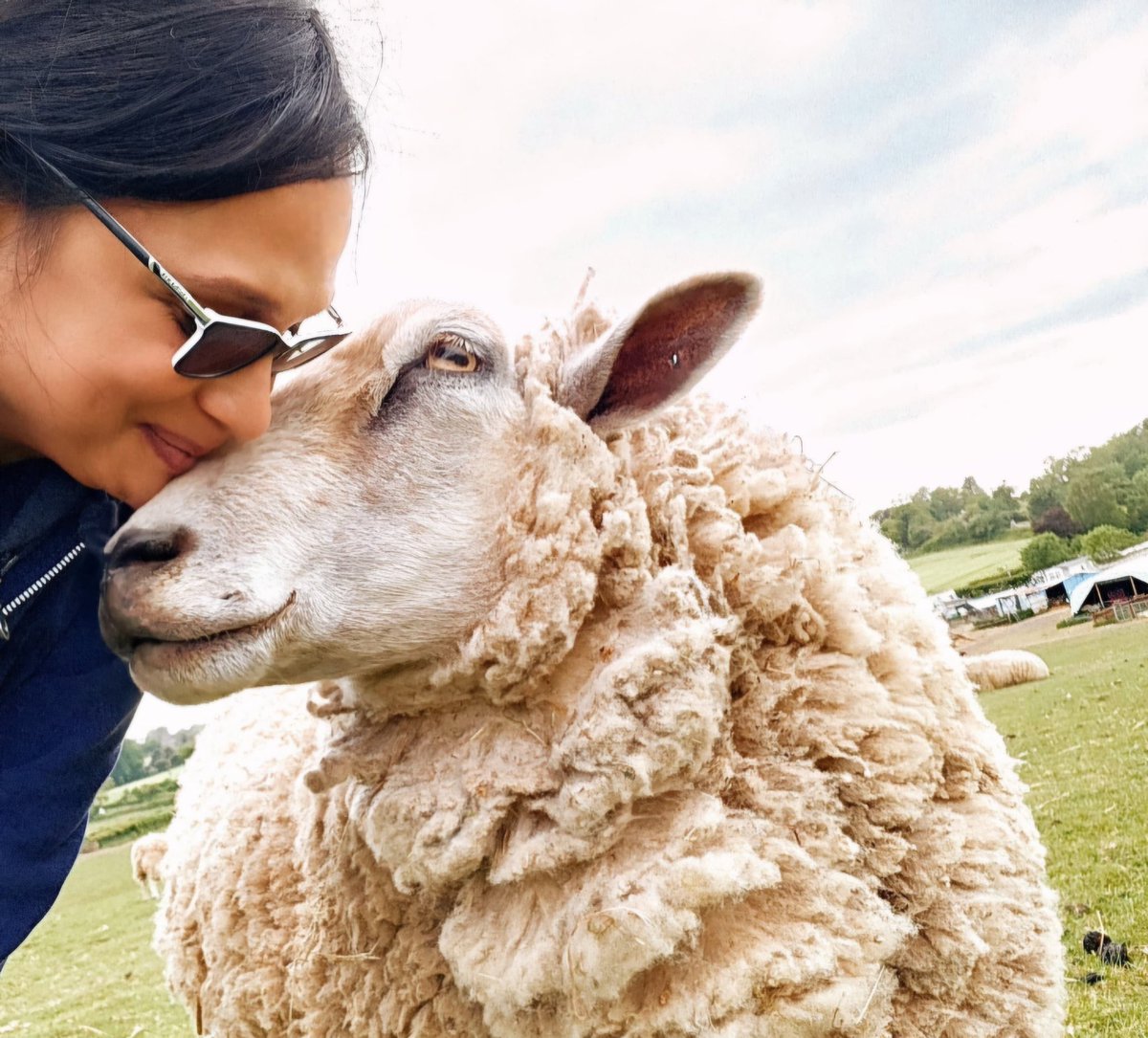 fars_sanctuary's tweet photo. ๐ #FARSQuoteOfTheWeek ๐
"My greatest wish is for every farm animal to have a human whose eyes light up at the sight of them, & for that love to be mutual. What a wonderful world that would be." Joar Berge โจ๐๐ค๐
#SquashieSheep
#SandySheep
#VeganForThem
#VeganForTheAnimals https://t.co/w6YThpm8aj