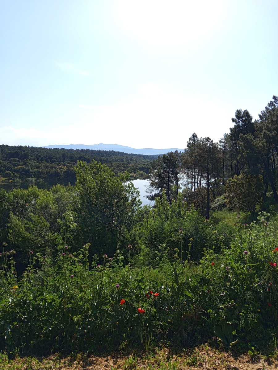 EvaShbst tweet media