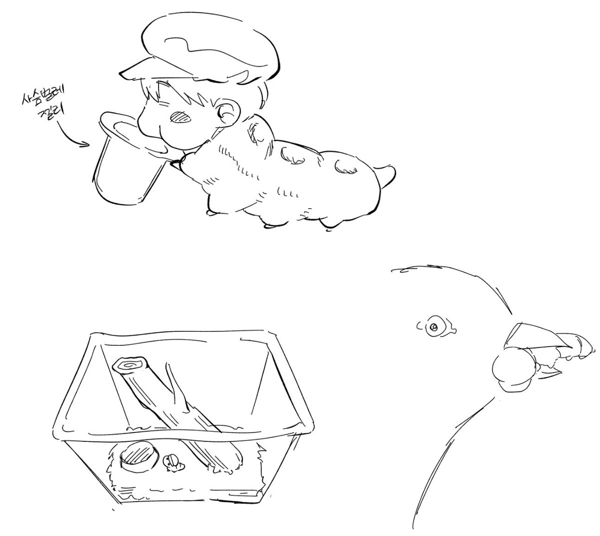 우쿄 애벌레 키우고싶다