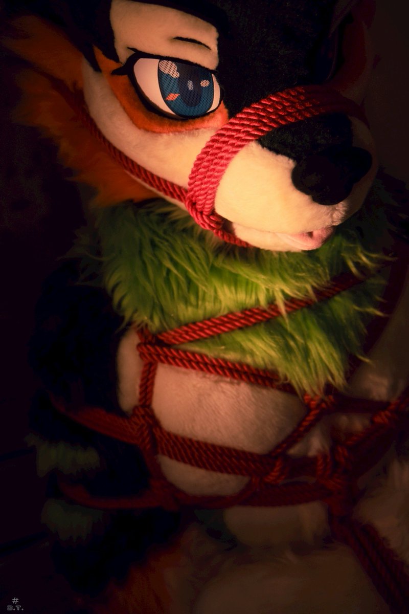 端午粽

📷<a href="/bluetoufu3/">藍豆腐BT🧪🍞⏩️ infurnity2025</a> 
🪢<a href="/tigersil37/">虎銀 Tigersil 🔜 UTFG</a>