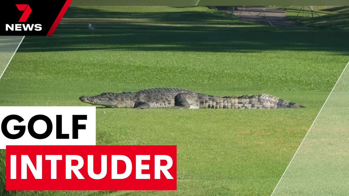 7NEWS Queensland tweet media