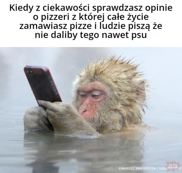 AjKedzierski's tweet photo. https://t.co/zppcG8CfWi