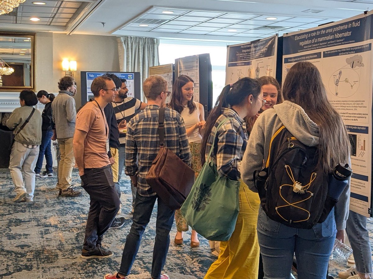 YaleNeuro's tweet image. We recently celebrated our annual Neuroscience Retreat 🧠👥
Thank you so much to everyone who came and made it a such a memorable weekend full of science, collaboration, and community 🤝🤗📸👇
