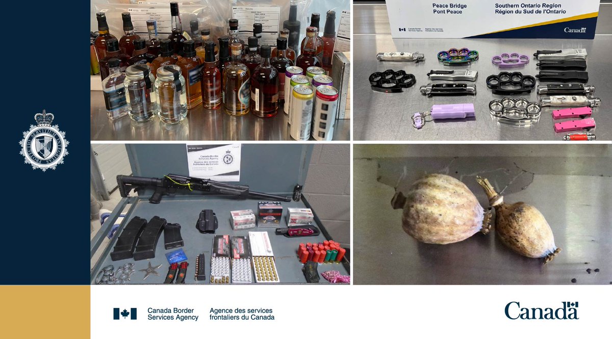 So far in 2025, CBSA officers have seized: 
-Over 33 kg of heroin
-Almost 1.8 kg of fentanyl 
-Almost 500,000 litres of alcohol
-Over 2,600 prohibited weapons

These numbers tell a story: a safer Canada starts at the border.

cbsa-asfc.gc.ca/security-secur…