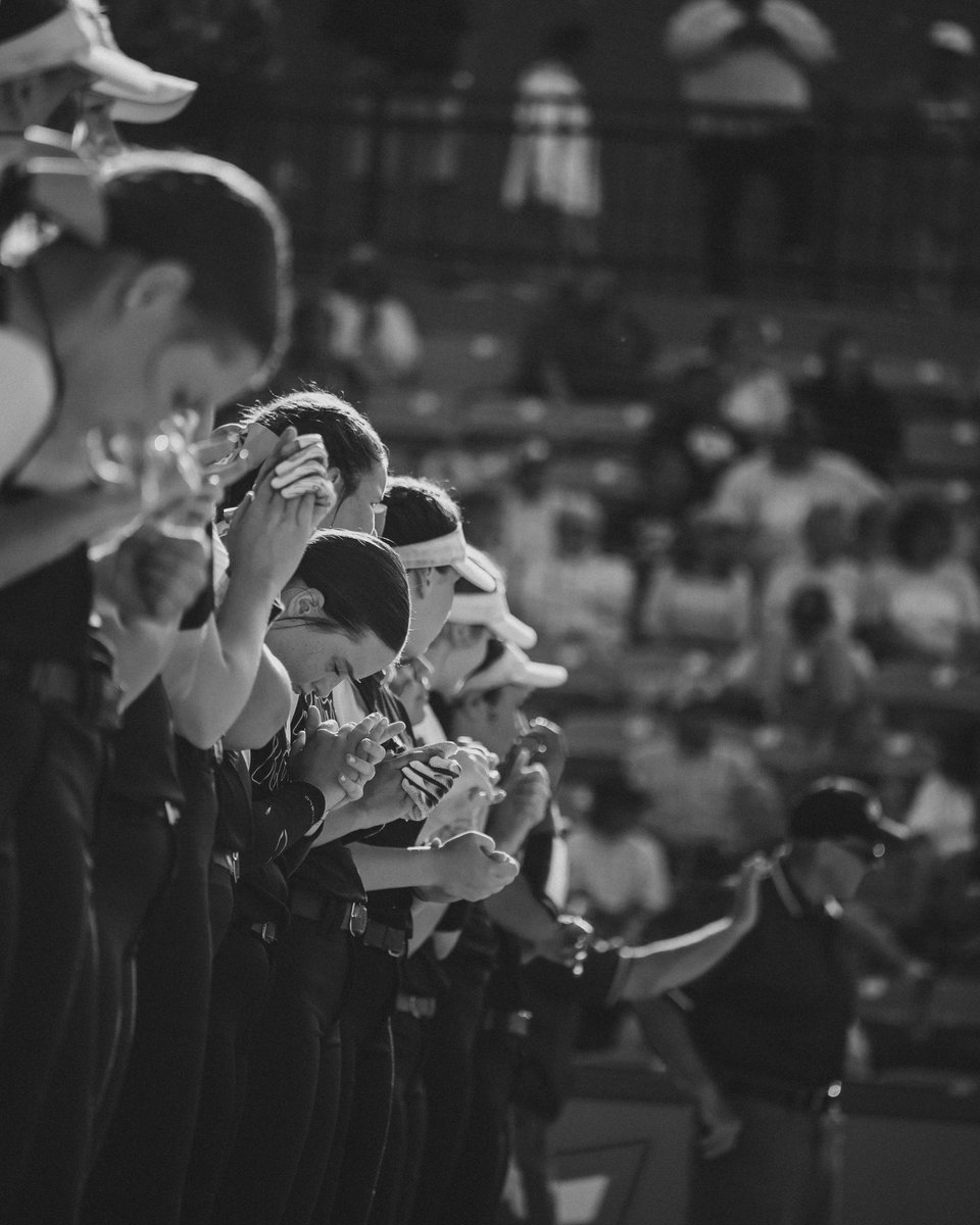 Let.It.fly.media tweet media