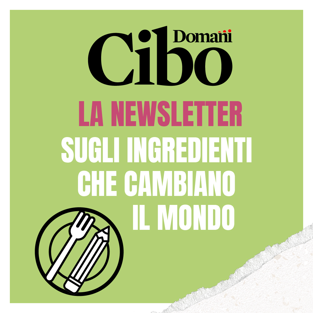Domani tweet media
