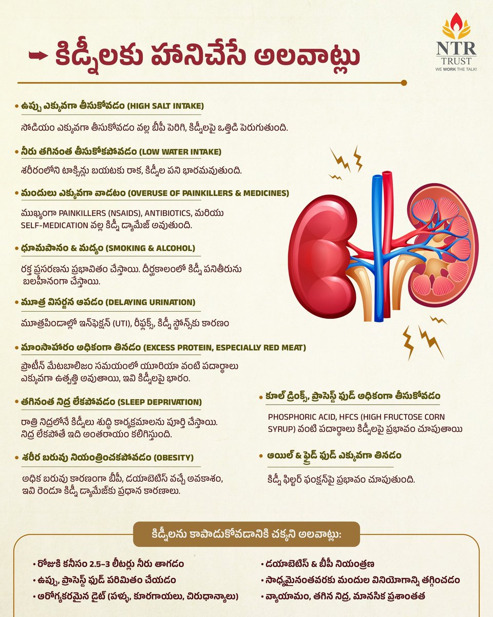 Your kidneys work 24/7 to keep you healthy — return the favor!🍎
Follow these simple tips to protect your kidneys and live a healthier life.

#NTRTrust #NTRTrustTipForHealth #HealthTips #KidneyHealth