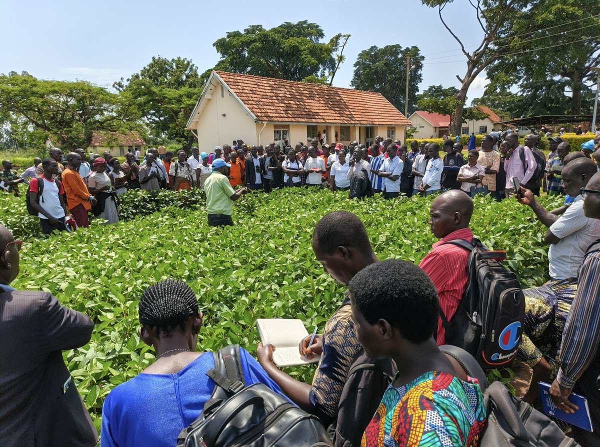 UPDATE - The annual Agribusiness Expo opens at Ngetta ZARDI, Lira City. The initiative spearhead by The Eastern Africa Grain Council (EAGC) with partners is meant to showcase technologies, exchange knowledge, and forge new market linkages. 
<a href="/olwaeddy/">olwa eddy</a> reports.
