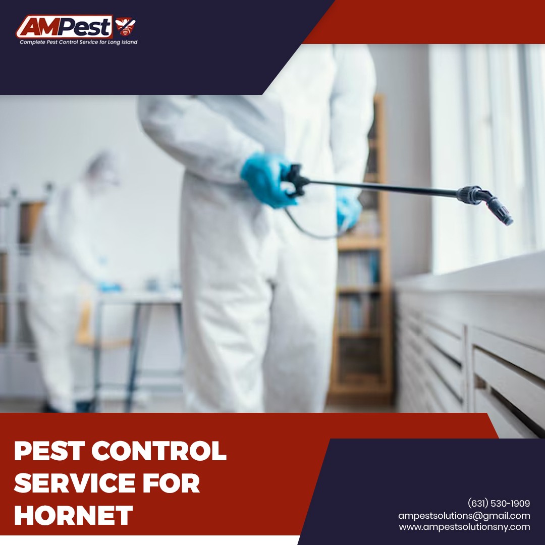 AMpestsolutions's tweet image. Hornets are aggressive and dangerous to remove without professional help. AM Pest Solutions offers expert hornet control that’s fast, safe, and eliminates the entire nest.

bit.ly/4iiXmBu 

#HornetControl #StingFreeYard #OutdoorPestSolutions #AMPEstSolutions