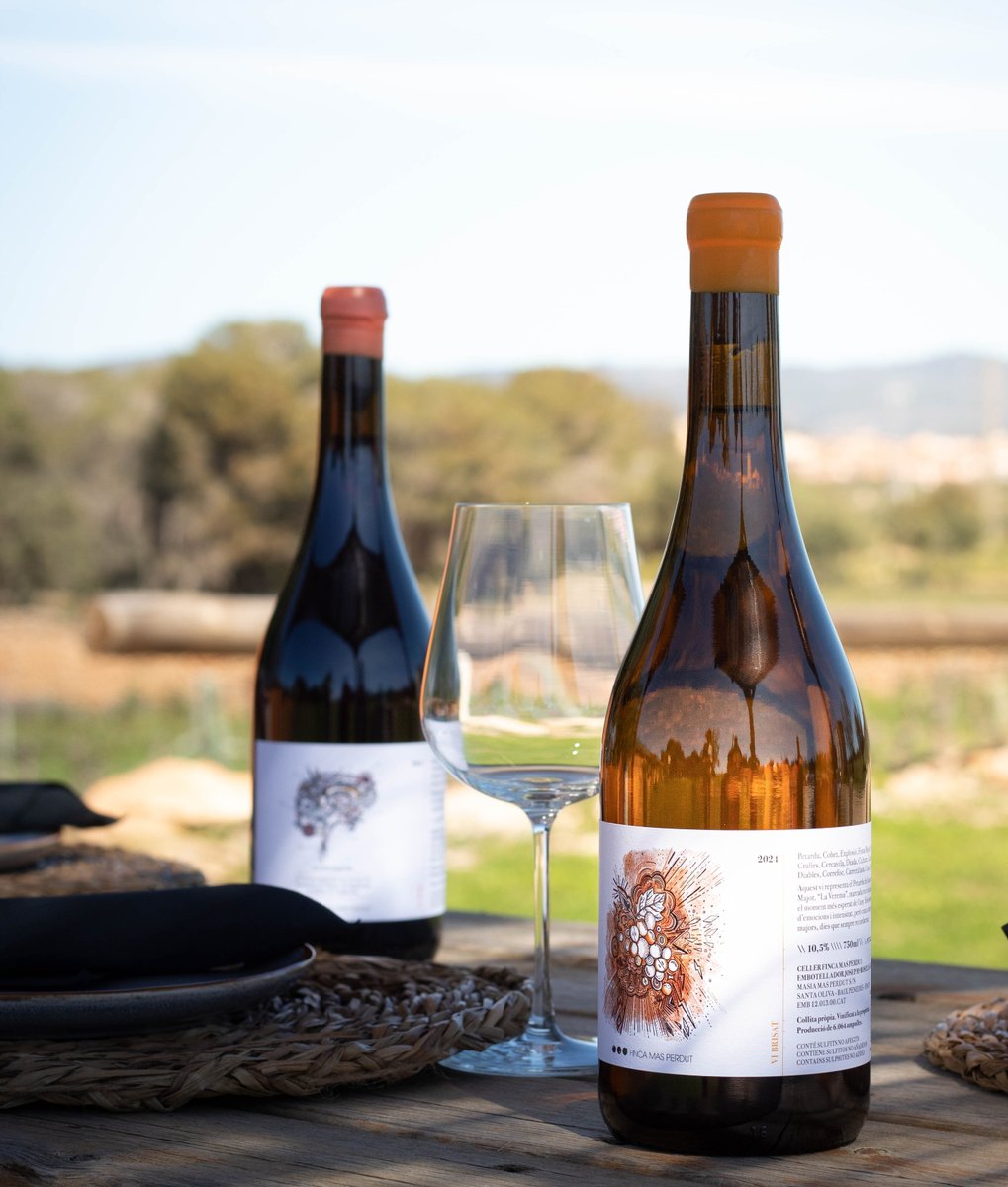 🍷 Coneixeu el nostre vi Brisat?

El seu disseny és una autèntica fantasia creada per @bertaartigal 

Deixeu-nos en comentaris què us sembla! Us llegim! 👇

#FincaMasPerdut #ViBrisat #DissenyAmbPersonalitat #PassióPelVi
