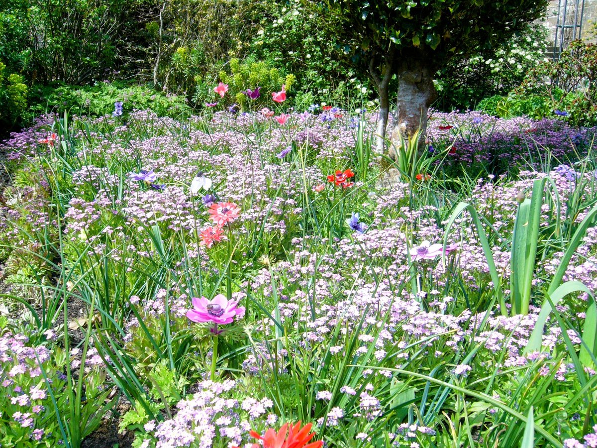 Scent of lavender &amp; chamomile
carried on a whispering breeze

drifting
falling
into restful sleep

still as a sheltered linden tree
silent as a winter snowflake
sinking into a far-away sea

I'm at peace
as I find you here
&amp; I can't wake up from this dream

#fairytalepoets
#poetry