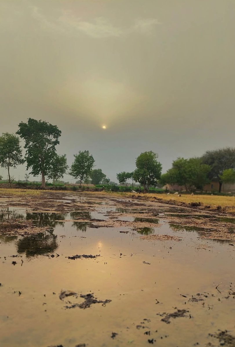 Sunrise view 
Village evening beauty...