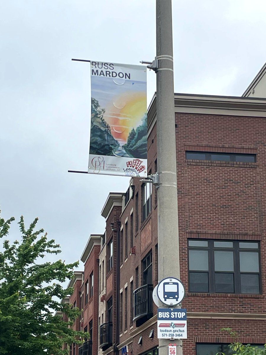 The Town of Leesburg has installed a new series of vibrant banners throughout its Arts and Cultural District, celebrating the creativity and talent of local artists.

Read more here &gt;&gt; bit.ly/3Z6DOsC