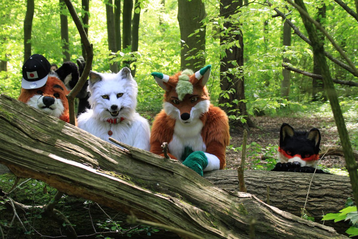 Happy #Fursuitfriday everyone
🦊🐺🦊🐺🦊🐺🦊🐺🦊🐺
📷 Anni
#furry #fox #wolf #nature #foxfriday #furries #furryfandom