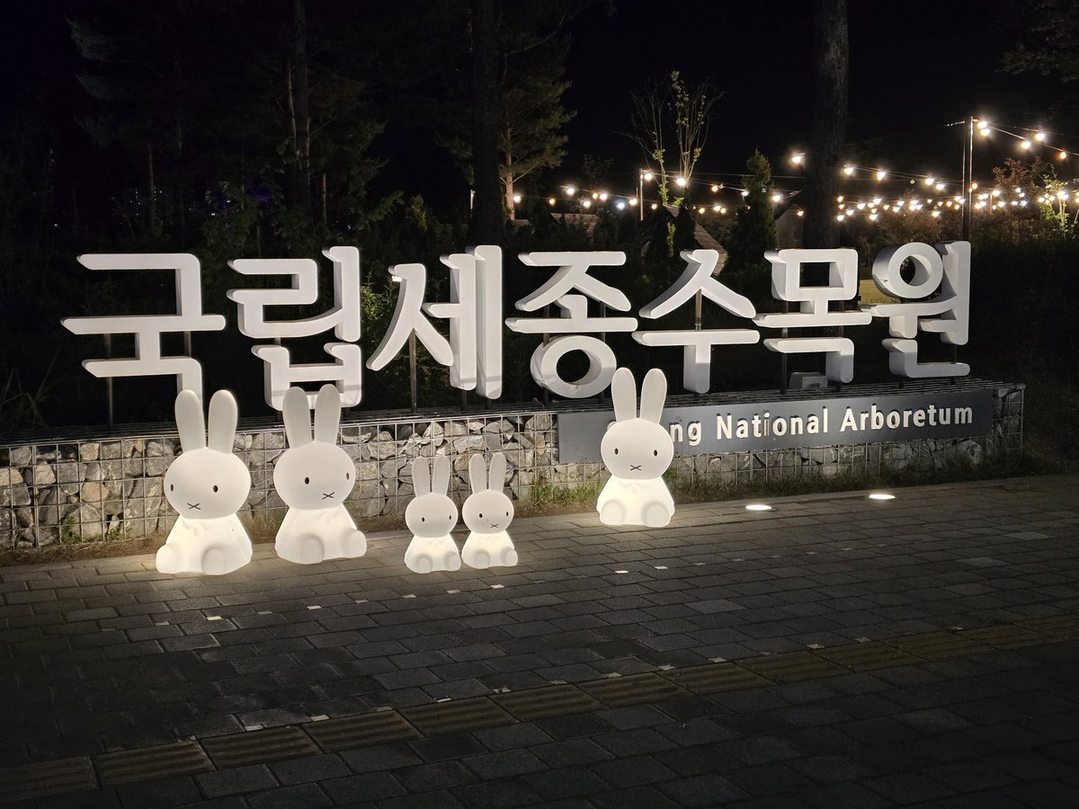buwangbuwang's tweet image. 국립세종수목원 야간개장.
금토 9:30분까지.(일요일×)
오늘 굉장히 완벽한 공기와 습도와 달이었다.
올해는 한복도 무료대여해준다. 어린이 한복도 있어서 사이즈 맞는 사람이 임자. 전통정원 내 도담정에서 대여 가능. 어쩐지 거기에 사람이 많더라...