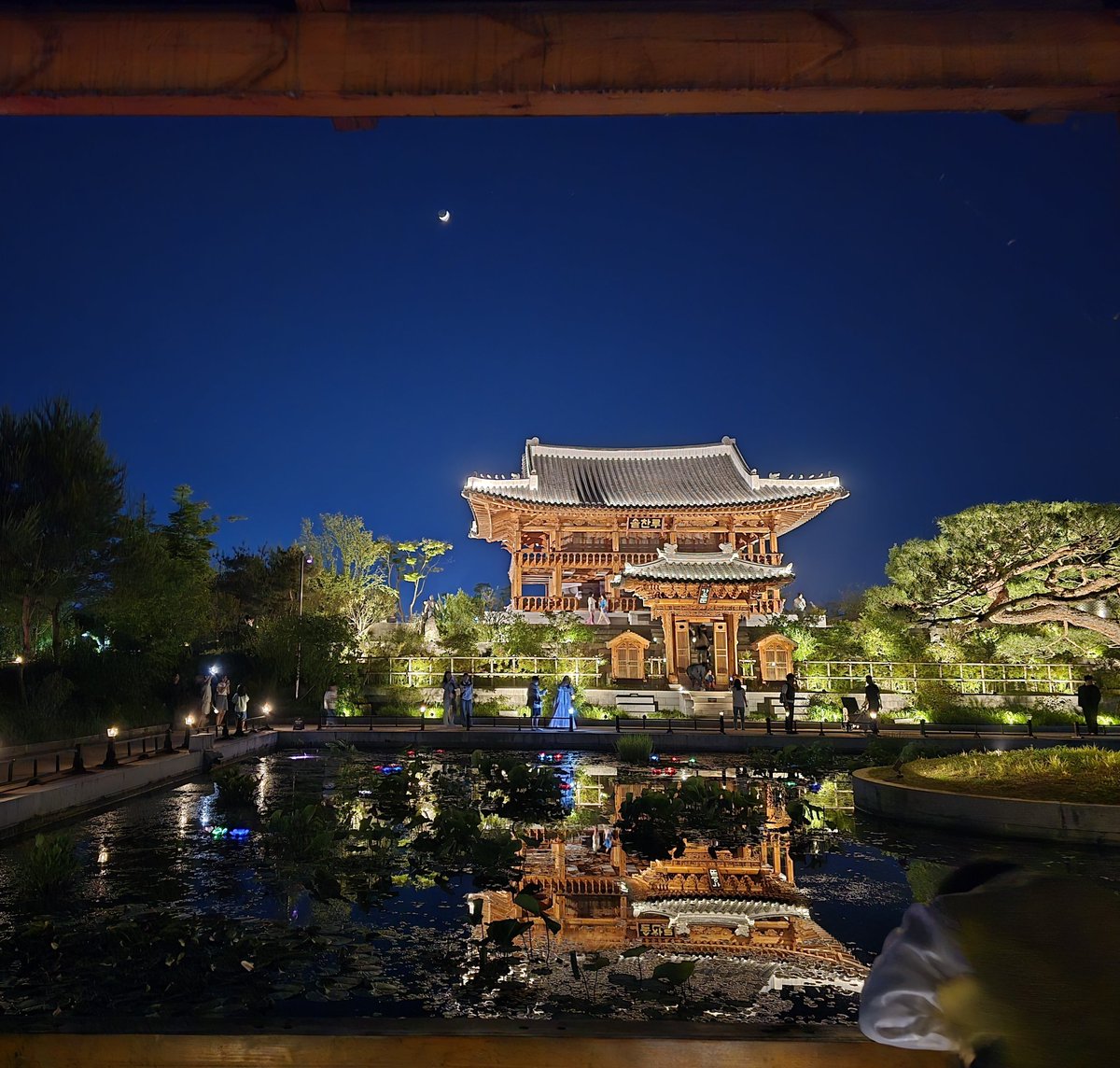 buwangbuwang's tweet image. 국립세종수목원 야간개장.
금토 9:30분까지.(일요일×)
오늘 굉장히 완벽한 공기와 습도와 달이었다.
올해는 한복도 무료대여해준다. 어린이 한복도 있어서 사이즈 맞는 사람이 임자. 전통정원 내 도담정에서 대여 가능. 어쩐지 거기에 사람이 많더라...