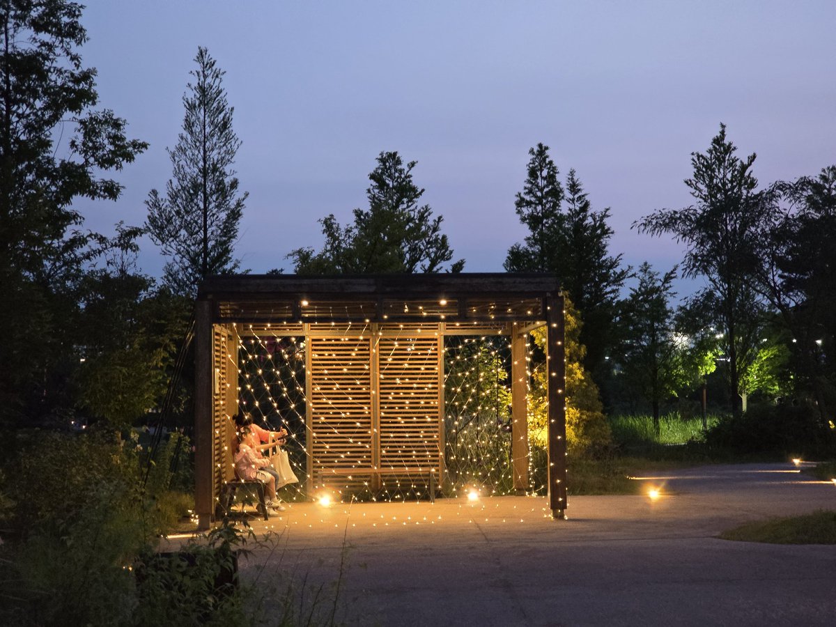 buwangbuwang's tweet image. 국립세종수목원 야간개장.
금토 9:30분까지.(일요일×)
오늘 굉장히 완벽한 공기와 습도와 달이었다.
올해는 한복도 무료대여해준다. 어린이 한복도 있어서 사이즈 맞는 사람이 임자. 전통정원 내 도담정에서 대여 가능. 어쩐지 거기에 사람이 많더라...