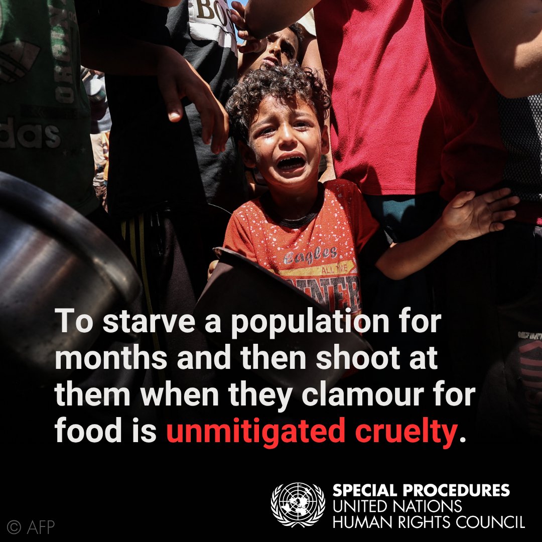 UN Special Procedures (@un_spexperts) on Twitter photo UN expert <a href="/FranceskAlbs/">Francesca Albanese, UN Special Rapporteur oPt</a> appeals to States to ‘stop the clock on madness’ after #Gaza aid distribution shootings, reiterating her call for sanctions and arms embargo to hold #Israel accountable.
“The time to save life is shrinking”.
ohchr.org/en/press-relea… UN expert <a href="/FranceskAlbs/">Francesca Albanese, UN Special Rapporteur oPt</a> appeals to States to ‘stop the clock on madness’ after #Gaza aid distribution shootings, reiterating her call for sanctions and arms embargo to hold #Israel accountable.
“The time to save life is shrinking”.
ohchr.org/en/press-relea…