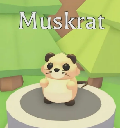 11_hyperrae's tweet image. ᴿᵃᵉ&apos;ˢ ⁿᵉʷᵉˢᵗ ᵍʷ !
    16x (FULLGROWN) muskrat
────────────୨ৎ────────────
ʜᴀᴠᴇ ᴛᴏ:
flw me w/🔔 (with proof)
ʟɪᴋᴇ ʀᴛ ᴀɴᴅ ᴄᴏᴍᴍᴇɴᴛ an underrated adm pet !
@ 1-2 𝙛𝙧𝙞𝙚𝙣𝙙𝙨 (not me)