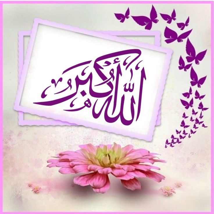 بَٰـُـٰٓرآءة طَٰـُـٰٓفَٰ͒ـُـٰٓلَٰـُـٰٓۿۿہ ⁽⇣☆𝕏! (@556oh) on Twitter photo ⇣❥⿻
ـــــــــــ♔
﷽
#بدايـــــهہ
┊┊⇣ ☆
┊⇣🦋
☞<a href="/556OH/">بَٰـُـٰٓرآءة طَٰـُـٰٓفَٰ͒ـُـٰٓلَٰـُـٰٓۿۿہ ⁽⇣☆!</a>☜
💥211💥؏
||🎁@_177O🎁||
||🎁@_177O🎁|| ⇣❥⿻
ـــــــــــ♔
﷽
#بدايـــــهہ
┊┊⇣ ☆
┊⇣🦋
☞<a href="/556OH/">بَٰـُـٰٓرآءة طَٰـُـٰٓفَٰ͒ـُـٰٓلَٰـُـٰٓۿۿہ ⁽⇣☆!</a>☜
💥211💥؏
||🎁@_177O🎁||
||🎁@_177O🎁||