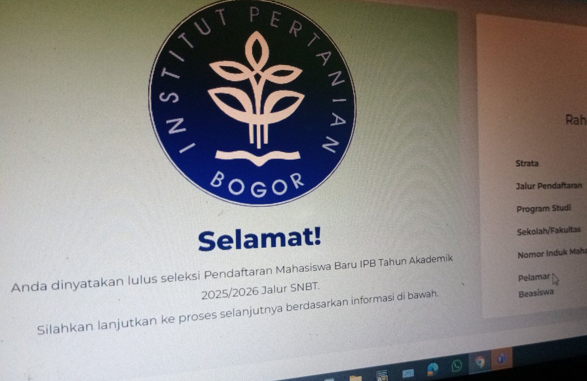 burung pipit⁶² tweet media