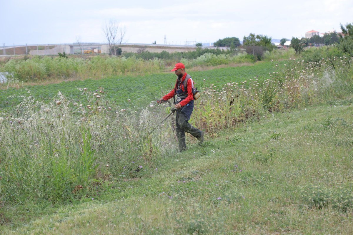 Park ve Bahçeler Müdürlüğü ekiplerimiz tarafından bulvar ve caddelerimizde  peyzaj çalışmaları devam ediyor. 

Seralarımızda yetiştirdiğimiz Kralkızı çeşidi çiçekler toprakla buluşturuldu. Aynı zamanda çim biçme işlemleri tamamlanarak  düzenleme çalışmalarımız titizlikle