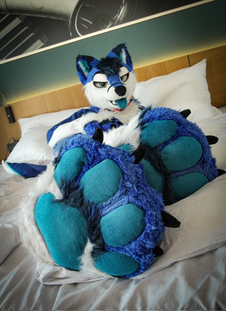Another #FursuitFriday and its still a #MicroMay.. Okay then.. tiny or not my paws needs more care~
Go down there and give that fox a propper paw massage or else 🐾💙

📸 <a href="/SlyEpoi/">SlyEpoi 🔛 NFC</a>

#paws #feetpawfriday