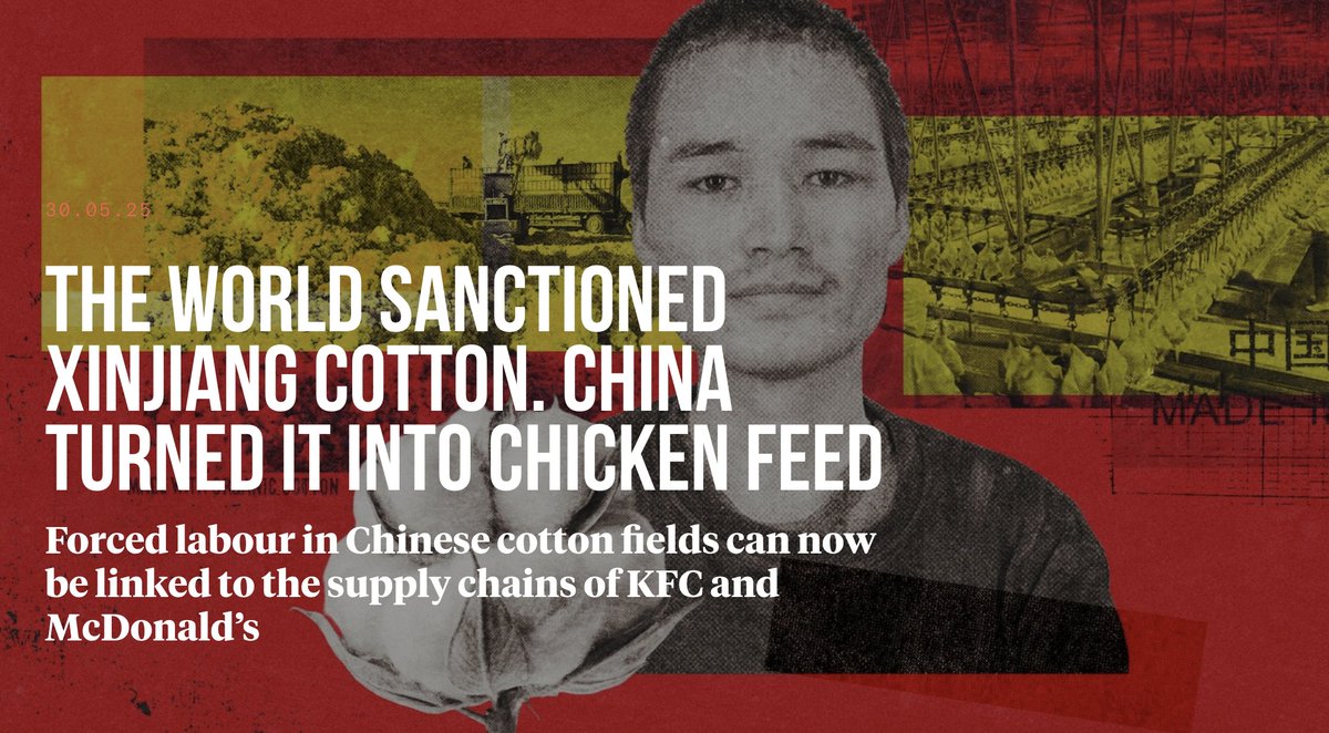 Adrian Zenz (@adrianzenz) on Twitter photo Uyghur forced labor can now be linked to poultry processing throughout China, to KFC and McDonald’s in China, and to KFC in the UK.
In addition, <a href="/TBIJ/">The Bureau of Investigative Journalism</a>'s investigation shows that Xinjiang cottonseed is used as animal feed by the world’s biggest animal feed producers.
THREAD: 👇 Uyghur forced labor can now be linked to poultry processing throughout China, to KFC and McDonald’s in China, and to KFC in the UK.
In addition, <a href="/TBIJ/">The Bureau of Investigative Journalism</a>'s investigation shows that Xinjiang cottonseed is used as animal feed by the world’s biggest animal feed producers.
THREAD: 👇