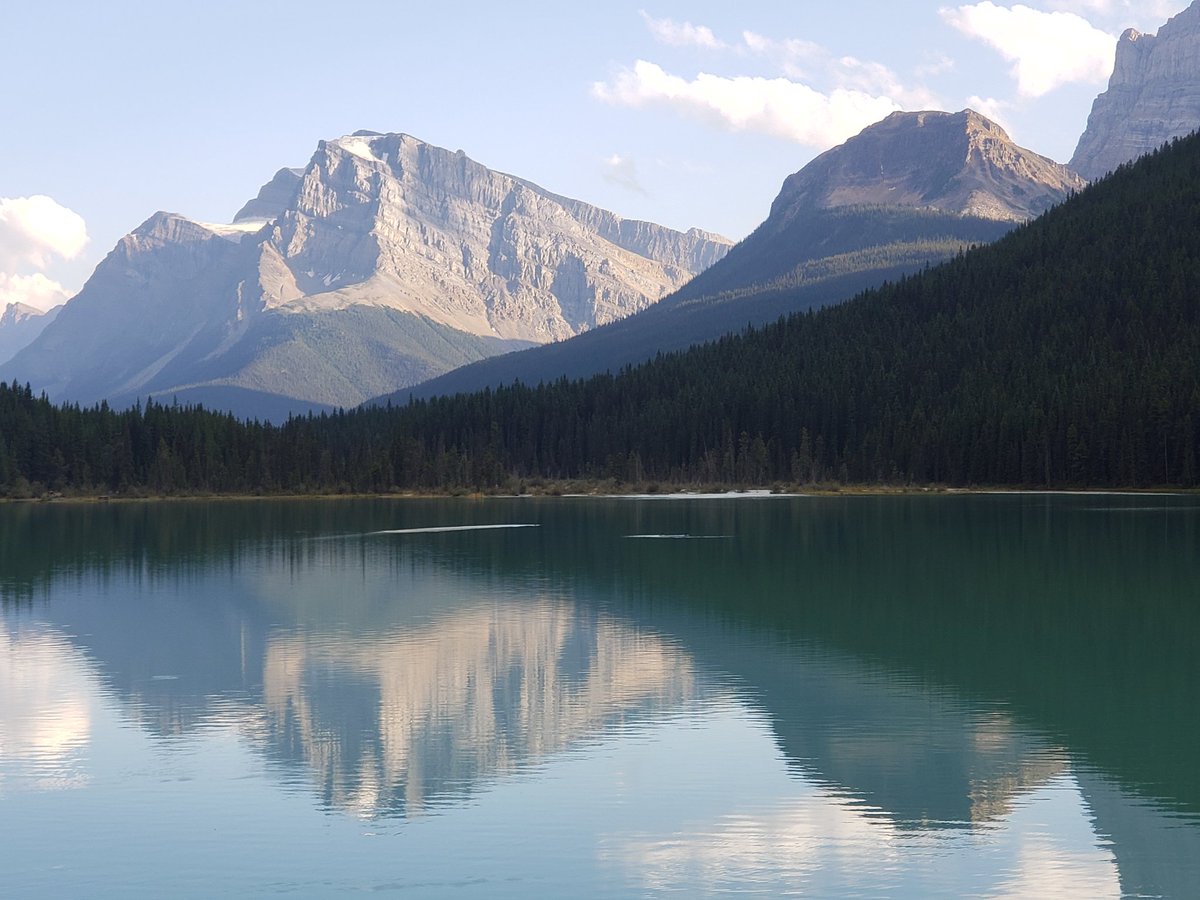 _staticbrain's tweet image. Post a picture you took. Just a picture no description.