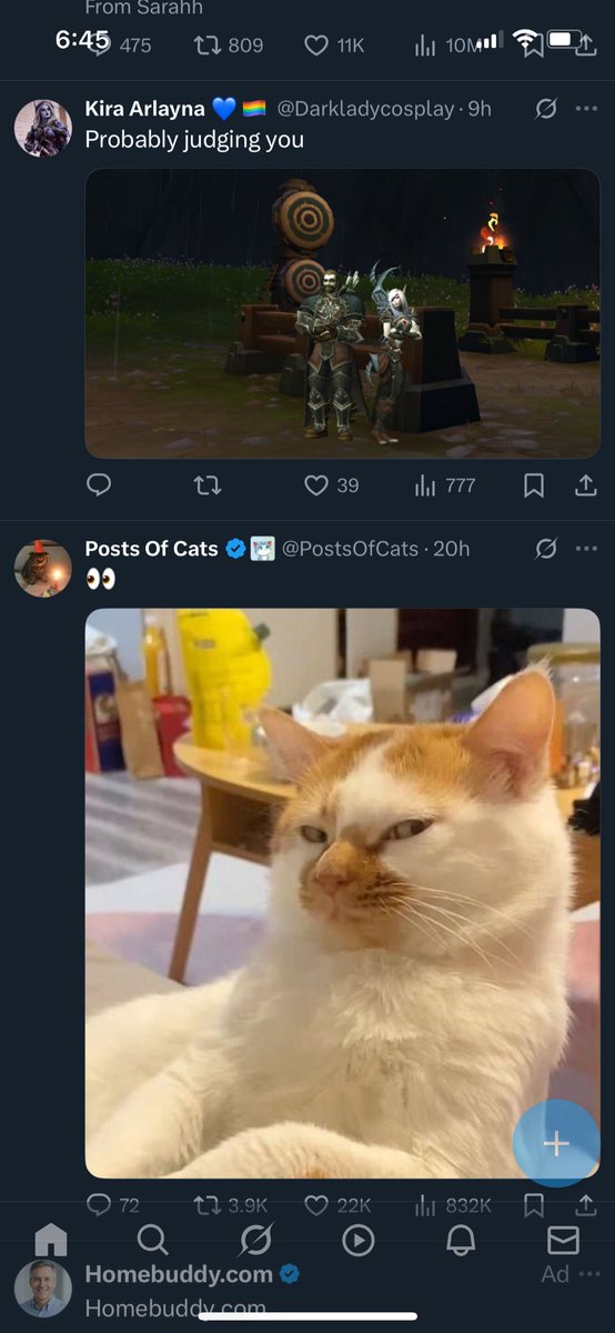 Duskrose 💙 tweet media