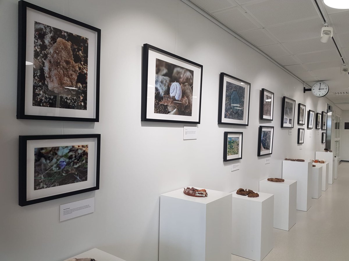 SOILSCAPE Project (@soilscape_eu) on Twitter photo Combining science🧪, education 📕 and art🖼️, young students in the Finnish high school Gaudia explored soil and produced artefacts.
<a href="/HorizonEU/">Horizon Europe 🇪🇺</a> <a href="/EUScienceInnov/">EU Science & Innovation 🇪🇺</a> <a href="/UNESCOVenice/">UNESCO Venice Office</a> <a href="/afes_fr/">AFES</a> <a href="/CleantechBG/">Cleantech Bulgaria</a> <a href="/UniLUT/">LUT University 🚀</a> <a href="/Euroquality_EU/">Euroquality</a> <a href="/CIFOR_ICRAF/">CIFOR-ICRAF</a> <a href="/reframefood/">reframe.food</a> <a href="/AnciToscana/">Anci Toscana</a> #MissionSoil Combining science🧪, education 📕 and art🖼️, young students in the Finnish high school Gaudia explored soil and produced artefacts.
<a href="/HorizonEU/">Horizon Europe 🇪🇺</a> <a href="/EUScienceInnov/">EU Science & Innovation 🇪🇺</a> <a href="/UNESCOVenice/">UNESCO Venice Office</a> <a href="/afes_fr/">AFES</a> <a href="/CleantechBG/">Cleantech Bulgaria</a> <a href="/UniLUT/">LUT University 🚀</a> <a href="/Euroquality_EU/">Euroquality</a> <a href="/CIFOR_ICRAF/">CIFOR-ICRAF</a> <a href="/reframefood/">reframe.food</a> <a href="/AnciToscana/">Anci Toscana</a> #MissionSoil