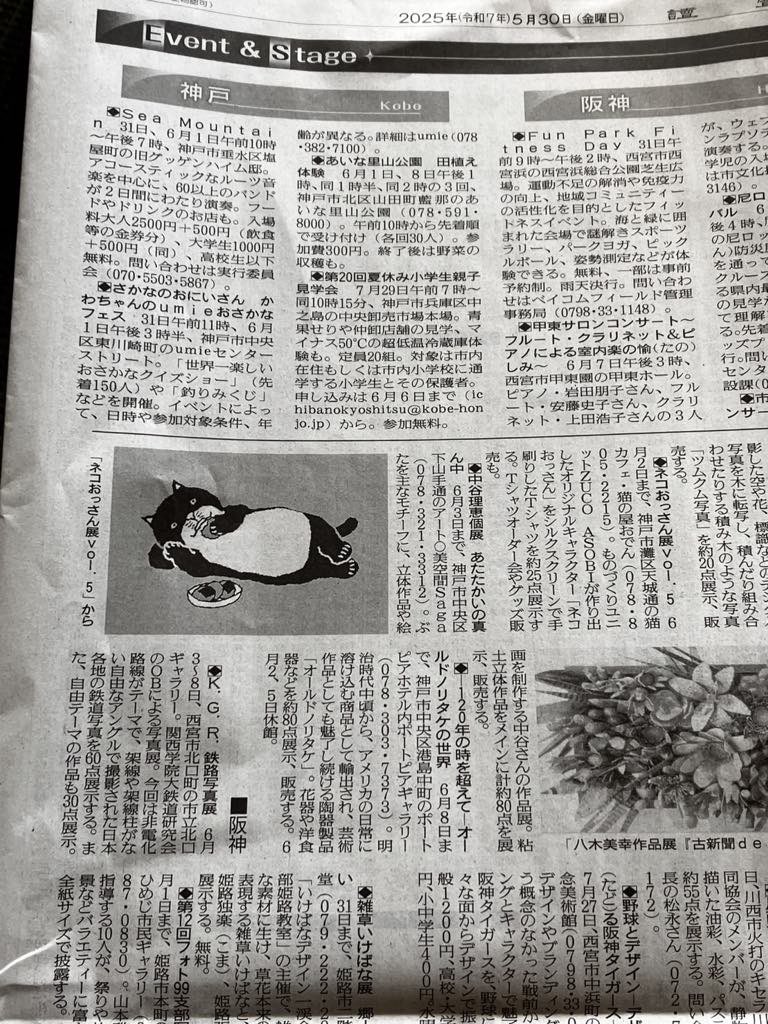 新聞とってないから知らなかったんだけど、最近の朝刊て、昔の夕刊並みに薄くない?!
紙が良くなったのか、もしくはページが少なくなったのか、はてさて。
30日付けの毎日新聞と読売新聞に載せてもらいました。嬉しいな☺️