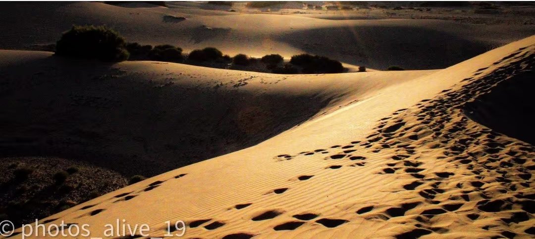 Feliz dia de canarias