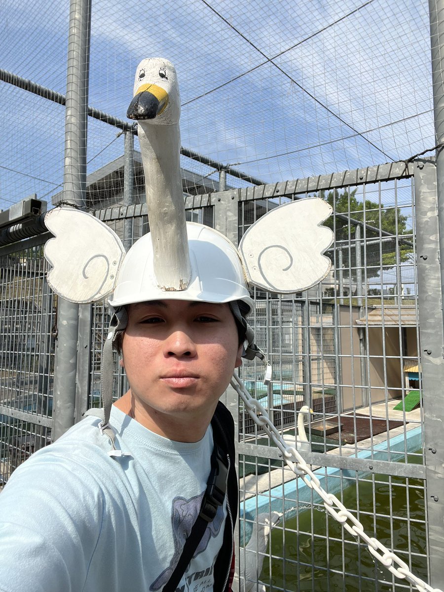 井上🦀🦭 (@xe54_131) / Posts / X