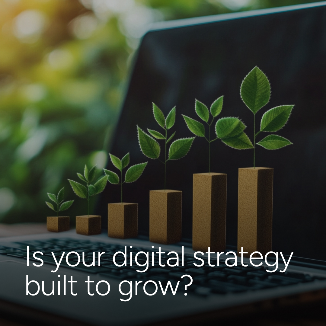 Starberry tweet media