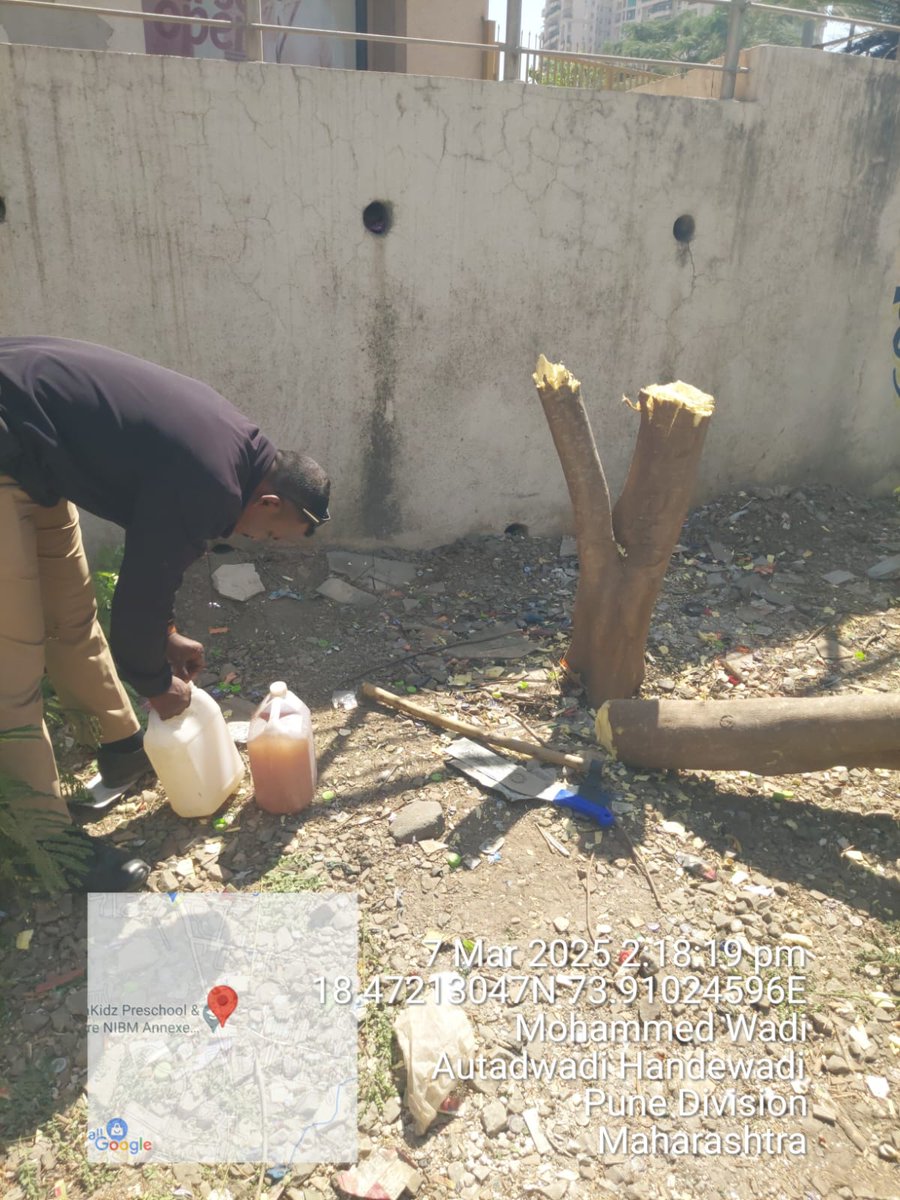 "Just witnessed the axed tree near Vista point grow back to life thanks to our collective efforts! 🌳💚 PMC garden department to prosecute the culprits soon? 🤔 Tree is life! 🌿 Let's keep fighting for our green spaces! #SaveTreesPune #TreeIsLife #PMCAccountability"
<a href="/PMCPune/">PMC Care</a>