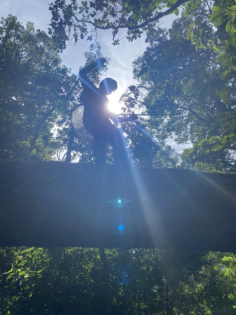 Bichodatos (@bichodatos) on Twitter photo Explorar la biodiversidad en Monte Totumas, Panamá, ya es un placer… pero hacerlo en compañía de uno de nuestros bichodateros oficiales lo hace aún mejor. Gracias Eduardo Navarro (<a href="/eduardoanv/">Eduardo Navarro-Valencia @enavarro.bsky.social</a>) por tu buena onda y energía que hicieron de esta expedición una experiencia grata. Explorar la biodiversidad en Monte Totumas, Panamá, ya es un placer… pero hacerlo en compañía de uno de nuestros bichodateros oficiales lo hace aún mejor. Gracias Eduardo Navarro (<a href="/eduardoanv/">Eduardo Navarro-Valencia @enavarro.bsky.social</a>) por tu buena onda y energía que hicieron de esta expedición una experiencia grata.