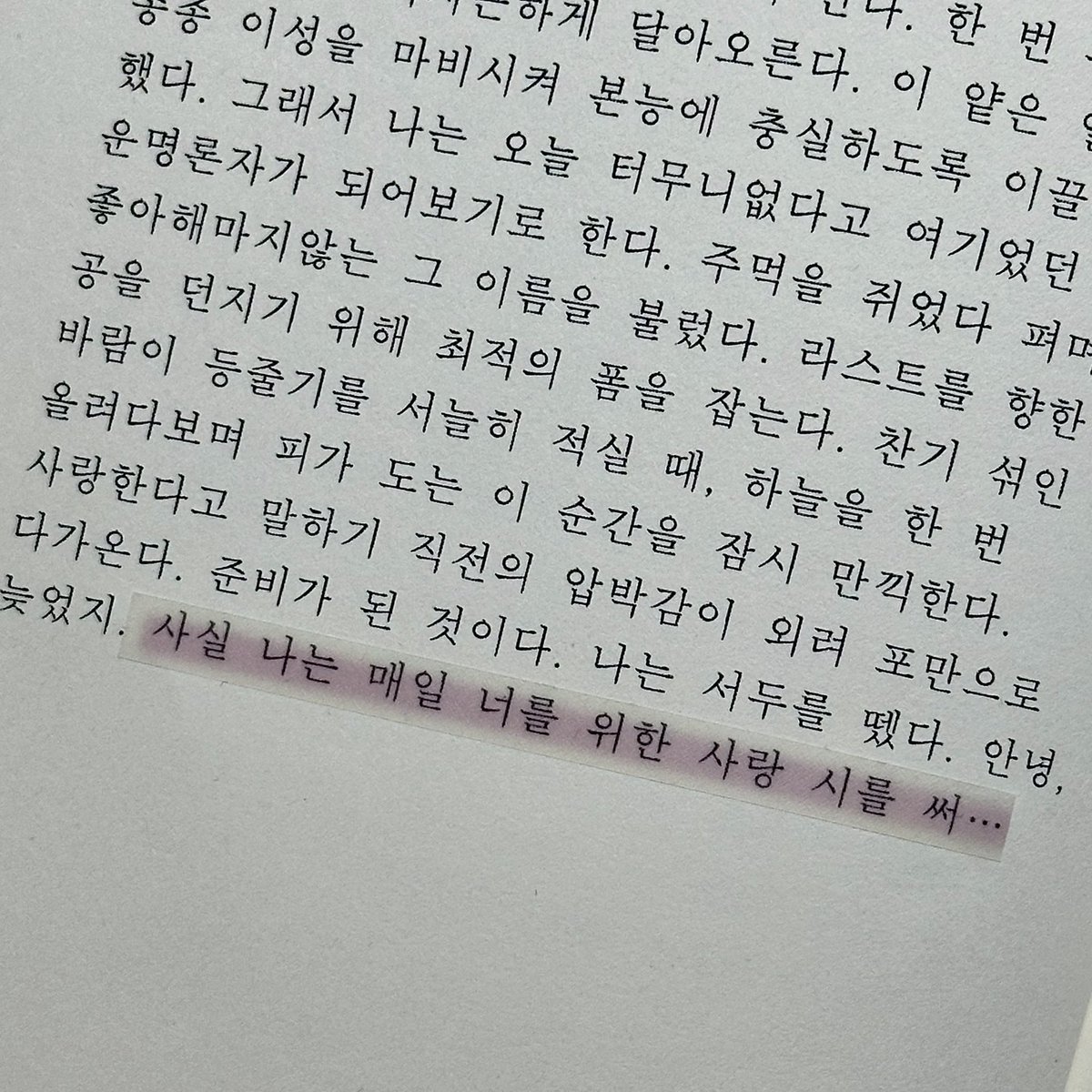 이렇게 간질간질한 사랑 고백이 있다니