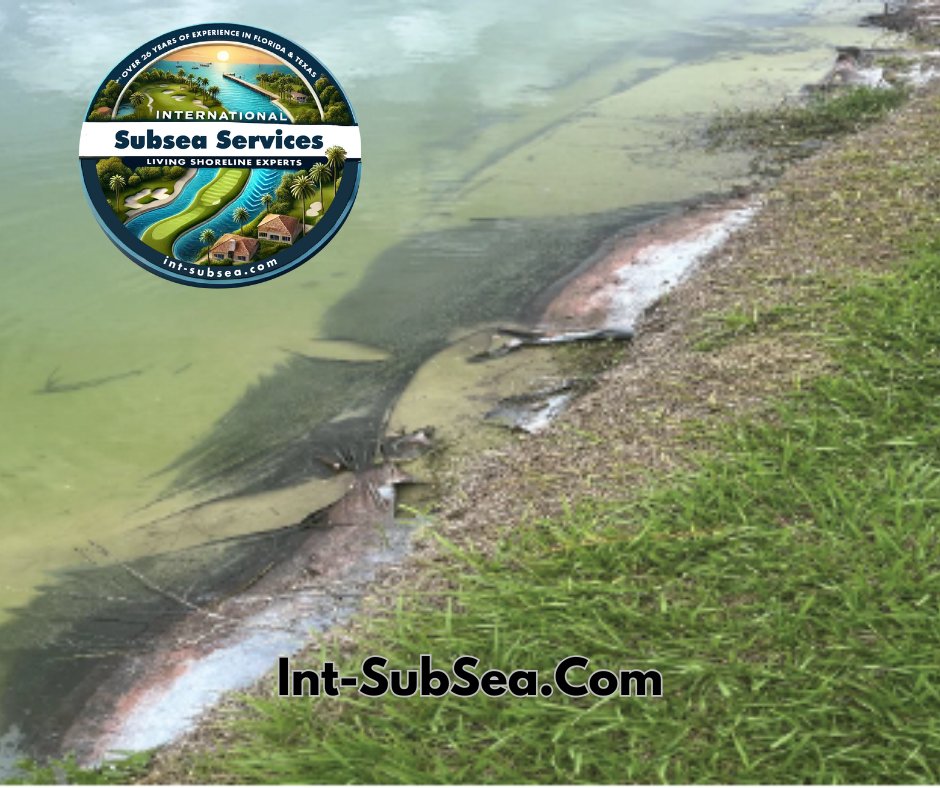 doffutt01's tweet photo. 🚀 Upgrade Your Pond with GCL Pond Liners!

💧 Leak-Proof &amp; Cutting-Edge Technology Awaits!

🌱 Introducing our Geosynthetic Clay Liners (GCL) - the ultimate solution for a durable and efficient pond sealing. These high-performance geo-composites are designed as a superior al ... https://t.co/aOnXoUnxzP