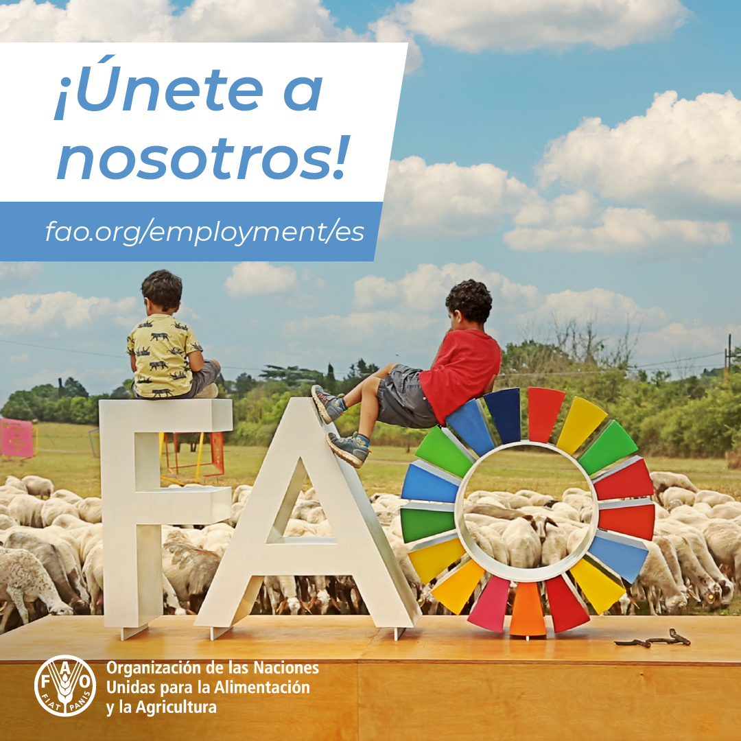 FAO Chile (@faochile) on Twitter photo ¡Últimos días para postular! 🔔
🇨🇱 #Vacante: Coordinador (a) del Proyecto CBIT-2 de Chile
Postula aquí hasta el 2 de junio ➡️ fao.taleo.net/careersection/…
<a href="/FAOJobs/">Vacancies at FAO</a> ¡Últimos días para postular! 🔔
🇨🇱 #Vacante: Coordinador (a) del Proyecto CBIT-2 de Chile
Postula aquí hasta el 2 de junio ➡️ fao.taleo.net/careersection/…
<a href="/FAOJobs/">Vacancies at FAO</a>