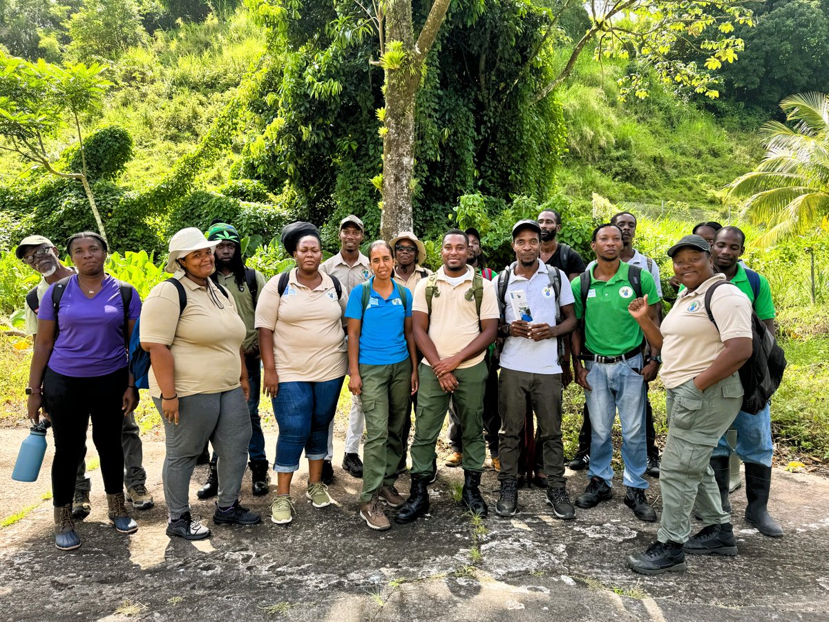 UNDPBarbadosEC's tweet photo. 🌿Forestry Officers in 🇻🇨 have completed intensive #Dendrology training - preserving biodiversity & strengthening forest ecosystem management! Led by the Forestry Department as part of our GEF-funded #RidgetoReef Project: https://t.co/958Z3LmWHH
#SustainableForests #SVGForestry https://t.co/Uv3ZUekeAi