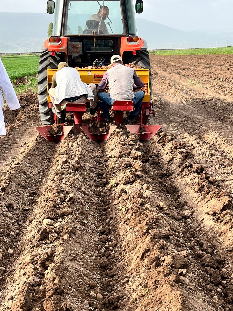 Tarım ve Orman Bakanlığı Eğitim ve Yayın Dairesi Başkanlığı tarafından desteklenen  'Pasinler Ovası Toprakları KAAN Patates İle Can Bulacak’ Eğitim ve Yayım Projesi hayata geçti.
