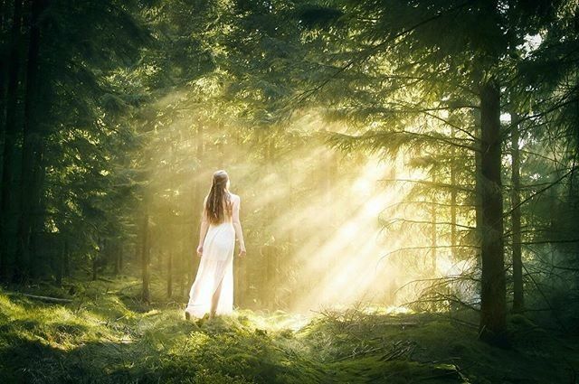 Flüstern der Bäume
Zwischen Weiden und Eichen finde ich Trost. Ihre Blätter flüstern Freude, rufen: „Bleib.“ Langsam gehe ich, neige mich oft. Ihr Licht erfüllt mich, zeigt mir, einfach zu sein, zu leuchten.
by Kimona Seelenfeuer