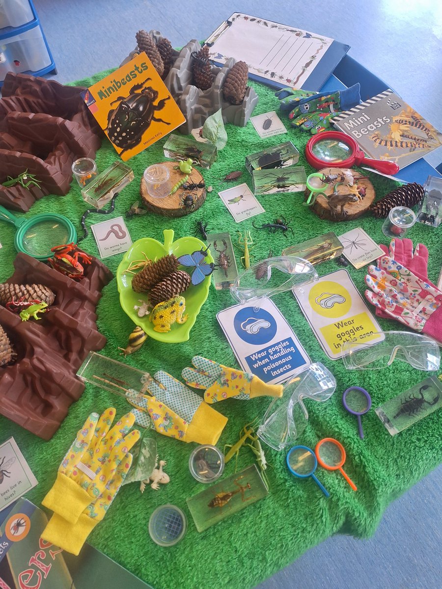 Michelle Bishop tweet media