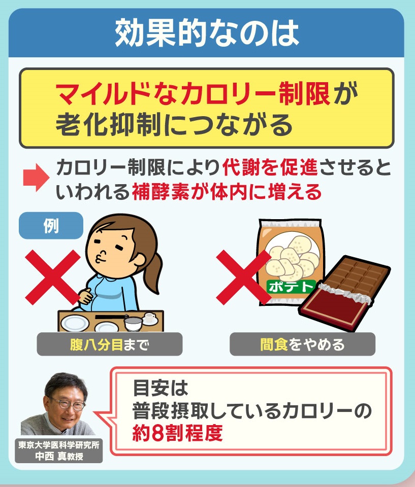 さらに、マイルドなカロリー制限が、老化抑制につながります