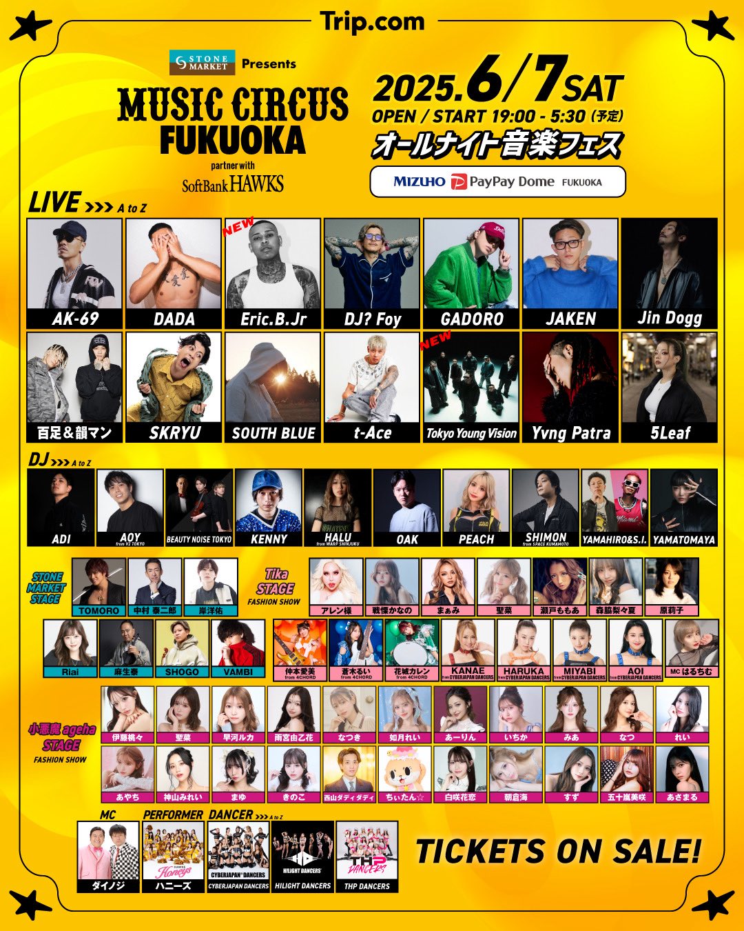 クラシックコンサート全20巻