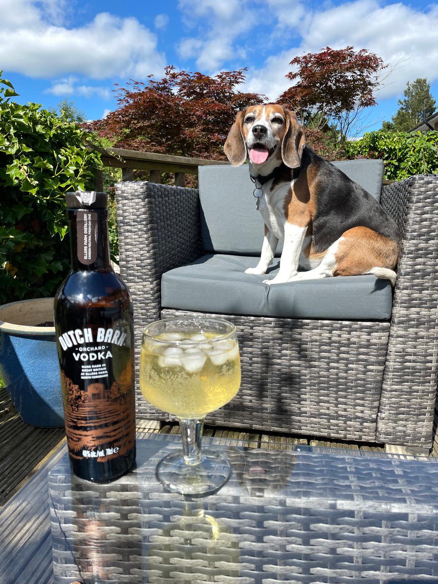 BetsyAmbassador's tweet photo. @rickygervais โWoofing you the best time ever !!!โ ๐๐๐โค๏ธ๐พ๐พ @HollywoodBowl
#RickyGervais #HollywoodBowl #Mortality #RecordBreaker #Dogs #Celebration #Happiness #WeekendWoofs #EDM187 https://t.co/EZewYUArko