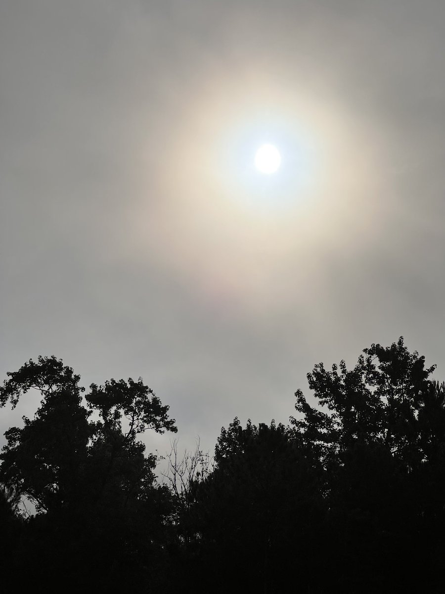 hello new day