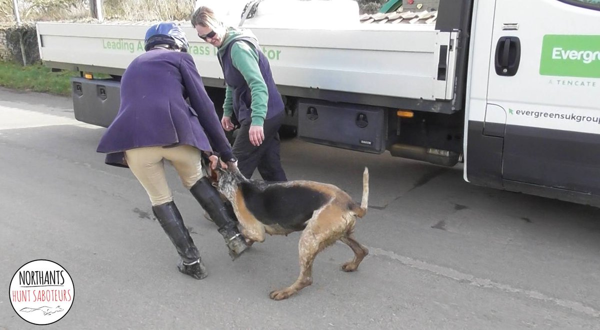 Don’t believe the lie that hunts care about their hounds. These dogs are dragged, kicked, beaten—and shot when no longer useful. That’s not care, it’s cruelty. Tell your MP: end hunting for good. 

<a href="/NhantsHuntsabs/">Northants_huntsaboteurs</a>

Take action now 👇 protectthewild.org.uk/endhuntingnow/