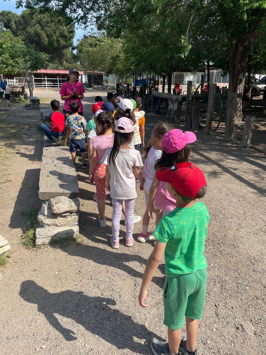 CP_BlasdeOtero's tweet image. 🚌 ¡Hoy nuestros alumnos de 1º de Primaria disfrutan de una excursión muy especial a Burrolandia!
🐴 Aprendiendo, conviviendo y conociendo de cerca a estos simpáticos animales en un entorno natural único.
#ExcursiónEscolar #Burrolandia #AprenderDisfrutando